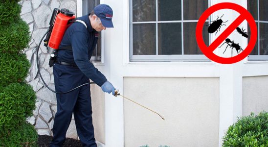 Bostanlı Dezenfeksiyon böcek ilaçlama ve haşere kontrolü — ilaclama-tr.com